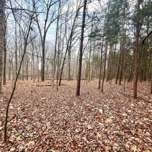 Photo #13 of 6000 Wards Road, Rustburg, VA 9.2 acres