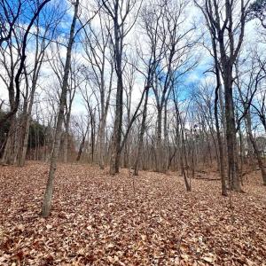 Photo #18 of 6000 Wards Road, Rustburg, VA 9.2 acres
