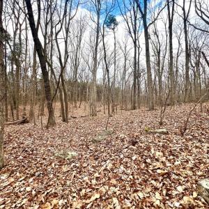 Photo #17 of 6000 Wards Road, Rustburg, VA 9.2 acres