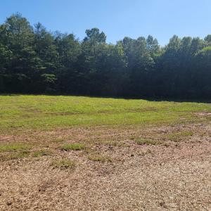 Photo #6 of 24 Down Creek Road, Brookneal, VA 14.9 acres