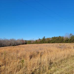 Photo #7 of 24 Down Creek Road, Brookneal, VA 14.9 acres