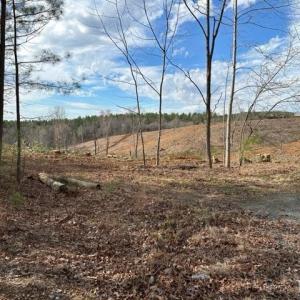 Photo #7 of Leesville Road, Lynch Station, VA 15.9 acres