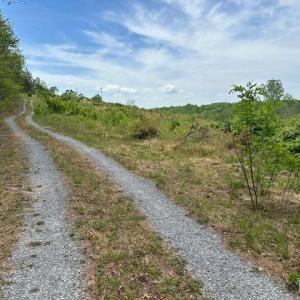 Photo #1 of Leesville Road, Lynch Station, VA 15.9 acres