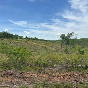 Photo #4 of Leesville Road, Lynch Station, VA 15.9 acres