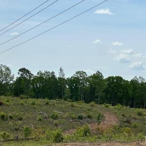 Photo #6 of Leesville Road, Lynch Station, VA 15.9 acres