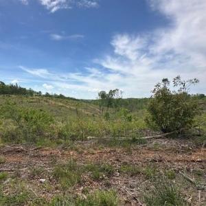 Photo #5 of Leesville Road, Lynch Station, VA 15.9 acres