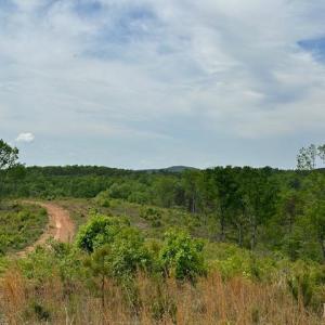 Photo #3 of Leesville Road, Lynch Station, VA 23.4 acres