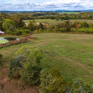 Photo #13 of 9961 Falling Creek Road, Huddleston, VA 23.7 acres