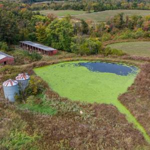 Photo #11 of 9961 Falling Creek Road, Huddleston, VA 23.7 acres