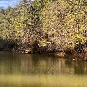 Photo #2 of Clear Pointe Run, Lynch Station, VA 0.6 acres