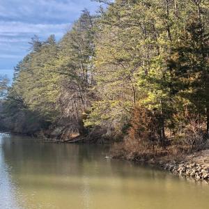 Photo #1 of Clear Pointe Run, Lynch Station, VA 0.6 acres