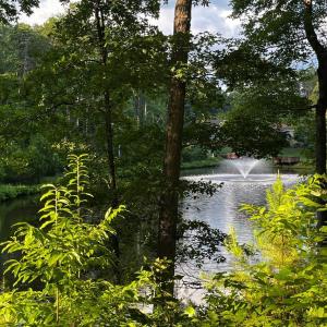 Photo #12 of Clear Pointe Run, Lynch Station, VA 3.0 acres