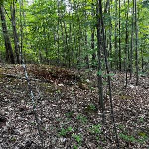 Photo #8 of Clear Pointe Run, Lynch Station, VA 3.0 acres