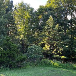 Photo #5 of Clear Pointe Run, Lynch Station, VA 3.0 acres