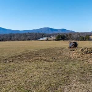 Photo #11 of 1247 Tillman Drive, Montvale, VA 183.3 acres