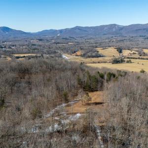 Photo #6 of 1247 Tillman Drive, Montvale, VA 183.3 acres