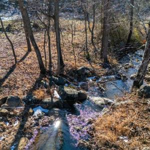 Photo #16 of 1247 Tillman Drive, Montvale, VA 183.3 acres