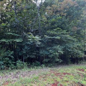 Photo #5 of Bay View Rd, Lynch Station, VA 1.9 acres