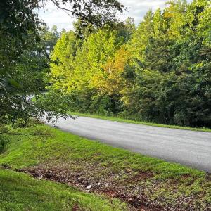 Photo #2 of Bay View Rd, Lynch Station, VA 1.9 acres