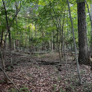 Photo #4 of Bay View Rd, Lynch Station, VA 1.9 acres