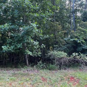 Photo #3 of Bay View Rd, Lynch Station, VA 1.9 acres