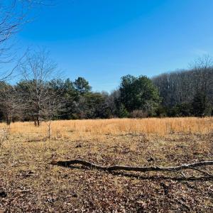 Photo #5 of Main Street, Hurt, VA 45.3 acres