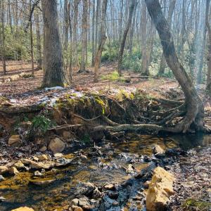 Photo #21 of Main Street, Hurt, VA 45.3 acres