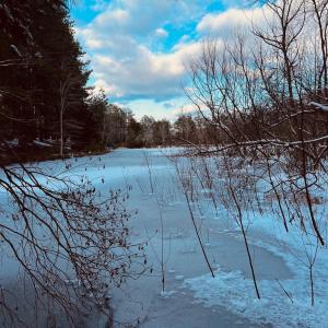 Photo #37 of Main Street, Hurt, VA 45.3 acres