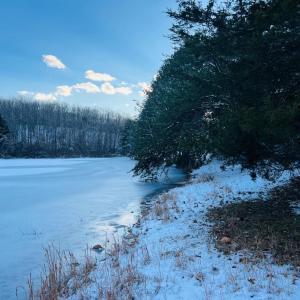 Photo #16 of Main Street, Hurt, VA 45.3 acres