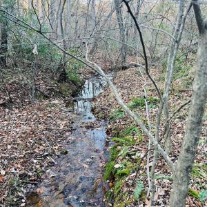 Photo #22 of Main Street, Hurt, VA 45.3 acres