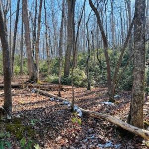 Photo #18 of Main Street, Hurt, VA 45.3 acres
