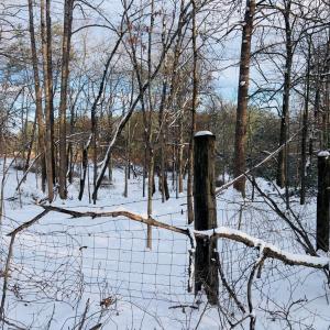 Photo #34 of Main Street, Hurt, VA 45.3 acres