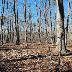 Photo #19 of Main Street, Hurt, VA 45.3 acres