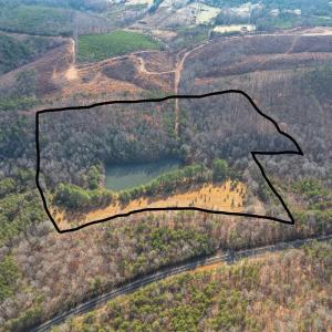 Photo #3 of Main Street, Hurt, VA 45.3 acres
