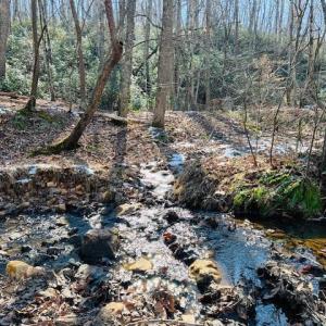 Photo #8 of Main Street, Hurt, VA 45.3 acres