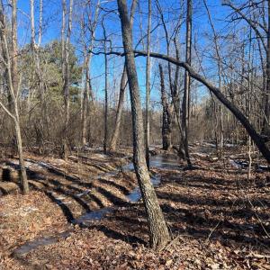 Photo #20 of Main Street, Hurt, VA 45.3 acres
