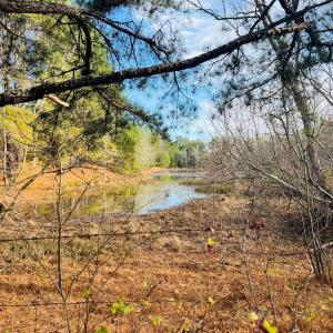Photo #7 of Main Street, Hurt, VA 45.3 acres