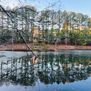 Photo #15 of Main Street, Hurt, VA 45.3 acres