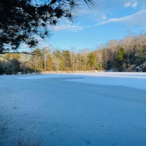 Photo #24 of Main Street, Hurt, VA 45.3 acres
