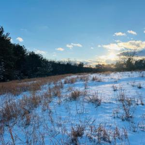 Photo #25 of Main Street, Hurt, VA 45.3 acres