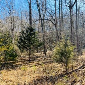 Photo #23 of Main Street, Hurt, VA 45.3 acres