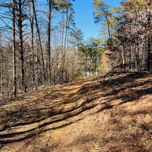 Photo #17 of Main Street, Hurt, VA 45.3 acres