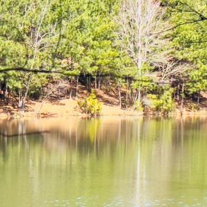 Photo #9 of Main Street, Hurt, VA 45.3 acres