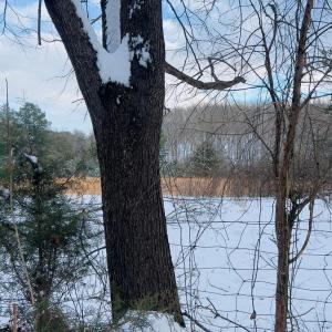 Photo #34 of Main Street, Hurt, VA 45.3 acres