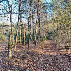Photo #6 of Main Street, Hurt, VA 45.3 acres