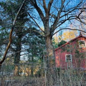 Photo #13 of Main Street, Hurt, VA 45.3 acres