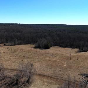 Photo #75 of 1081 Lennig Road, Nathalie, VA 161.5 acres