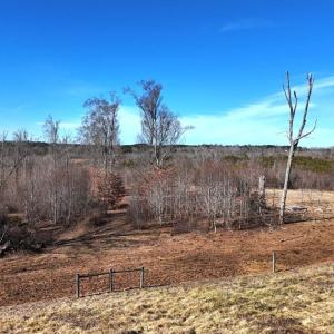 Photo #45 of 1081 Lennig Road, Nathalie, VA 161.5 acres