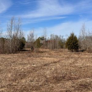 Photo #92 of 1081 Lennig Road, Nathalie, VA 161.5 acres
