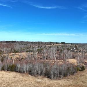 Photo #60 of 1081 Lennig Road, Nathalie, VA 161.5 acres